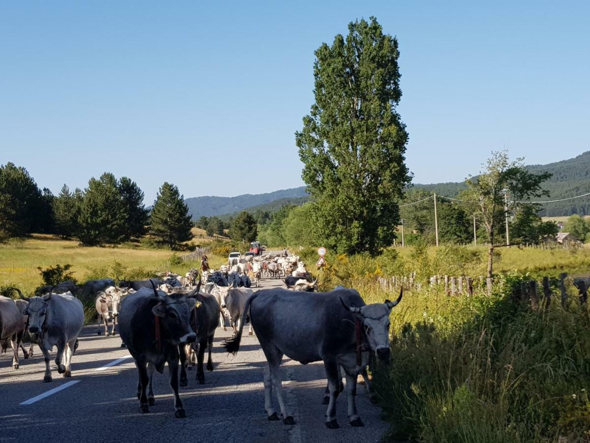 Lorica Suite Lago Kültér fotó
